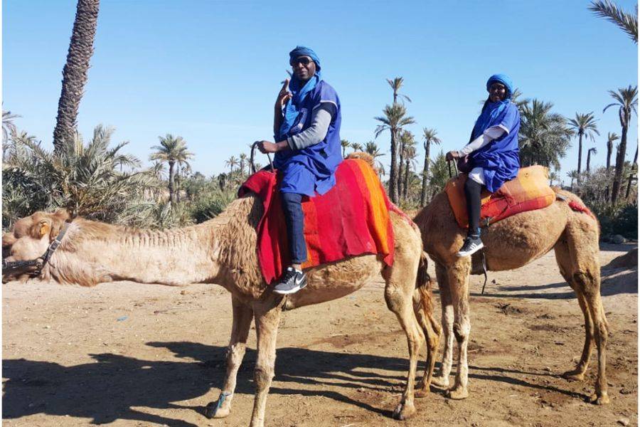 Kamelritt & Quad in Marrakesch Palmeraie
