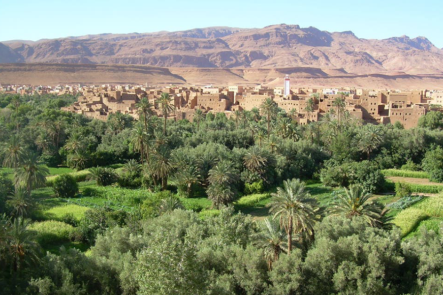 Ouarzazate, Kasbah Ait ben haddou & Oasis Fint 2 Tage Tour