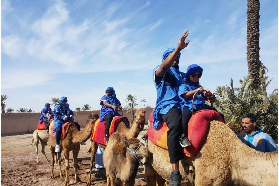 Kamelritt & Quad in Marrakesch Palmeraie