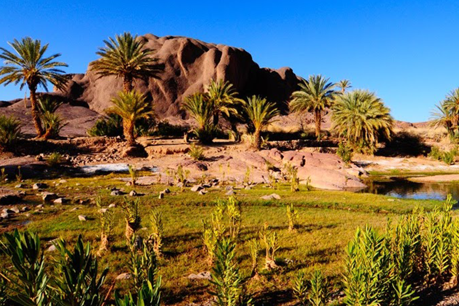 Ouarzazate, Kasbah Ait ben haddou & Oasis Fint 2 Tage Tour