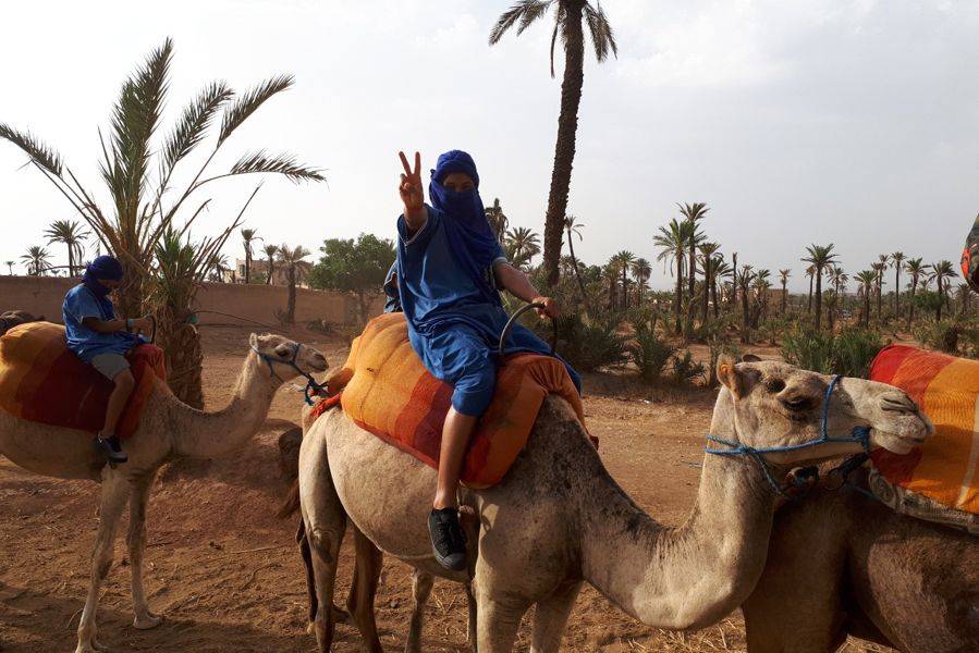 Kamelritt in der Palmeraie von Marrakesch