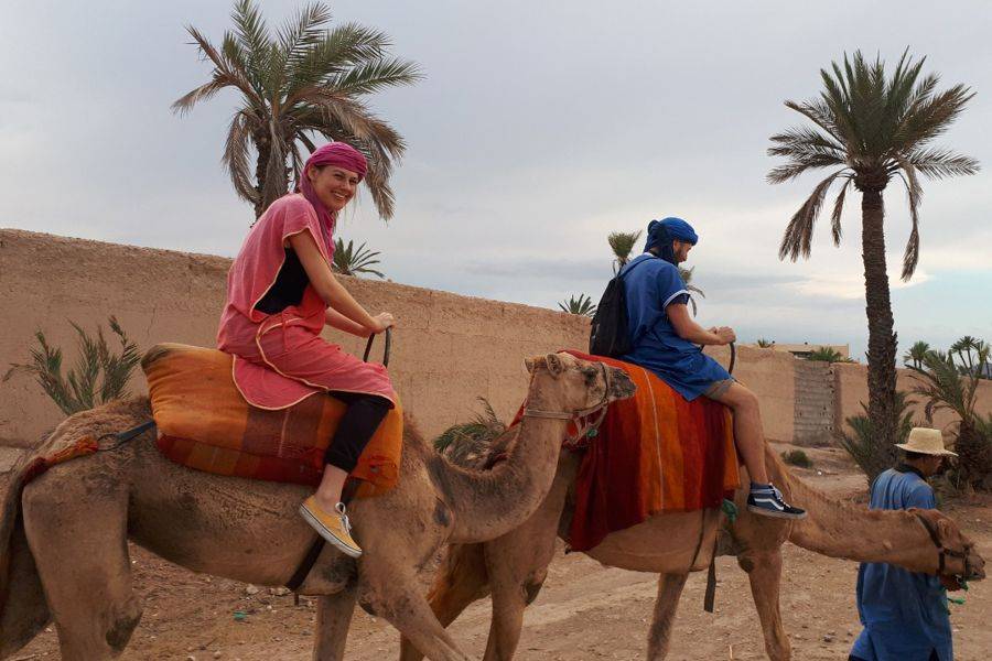 Kamelritt in der Palmeraie von Marrakesch