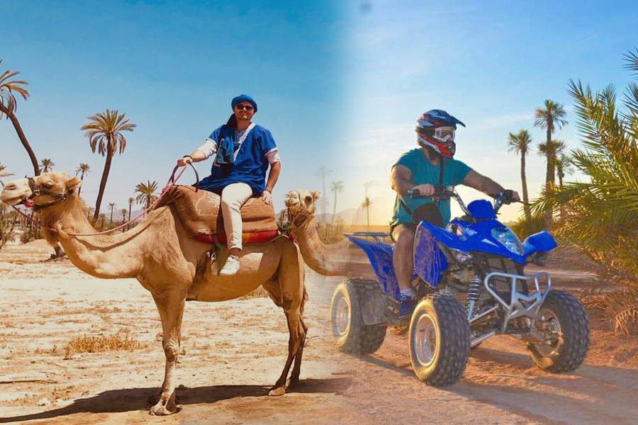 Kamelritt & Quad in Marrakesch Palmeraie