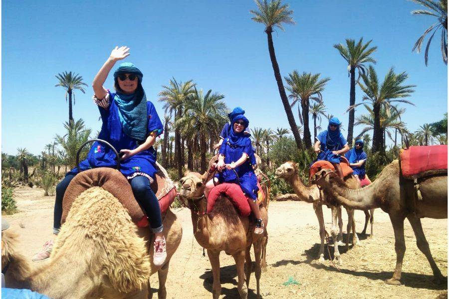 Kamelritt & Quad in Marrakesch Palmeraie
