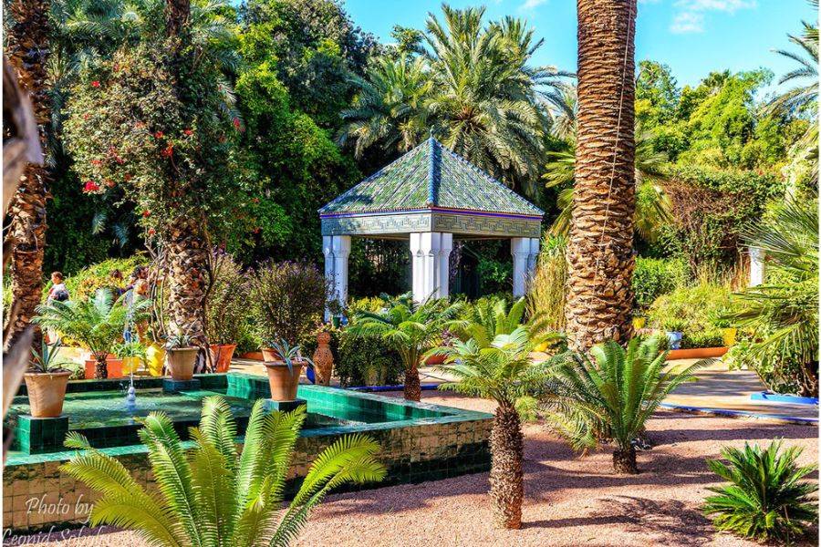 7 Tage Reise in die Reichsstädte von Casablanca