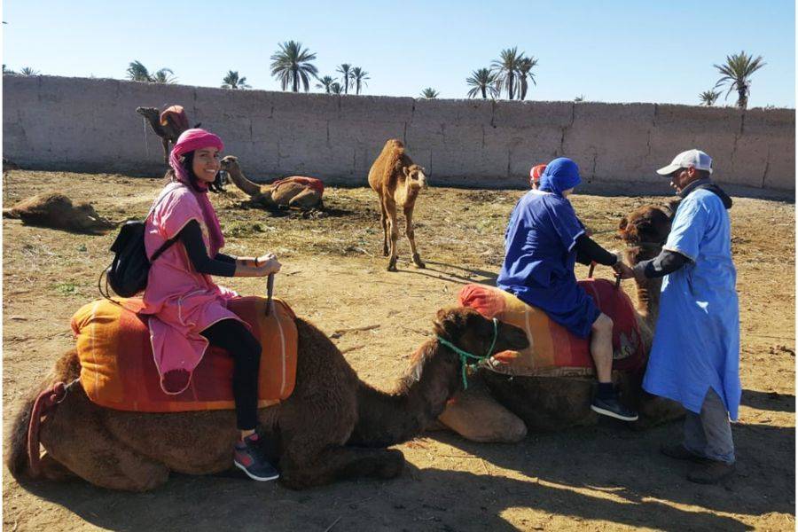Kamelritt & Quad in Marrakesch Palmeraie