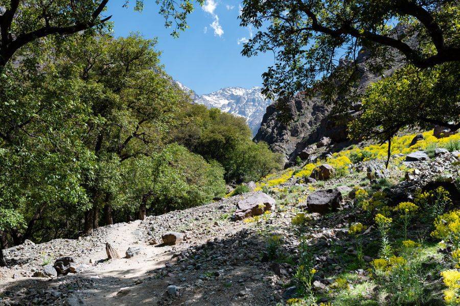 Ausflug nach Asni & Imlil mit einem köstlichen Mittagessen in der Kasbah Toubkal