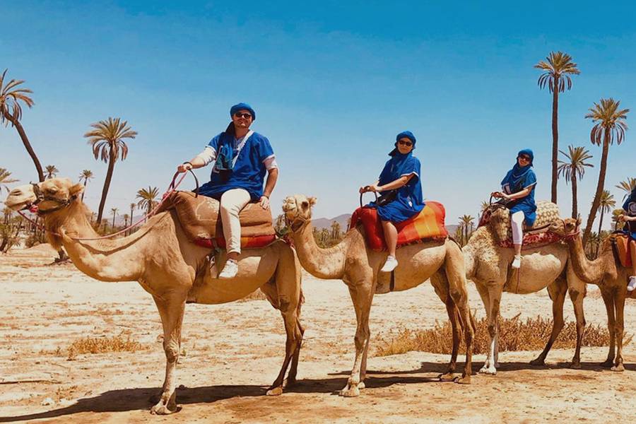 Kamelritt in der Palmeraie von Marrakesch