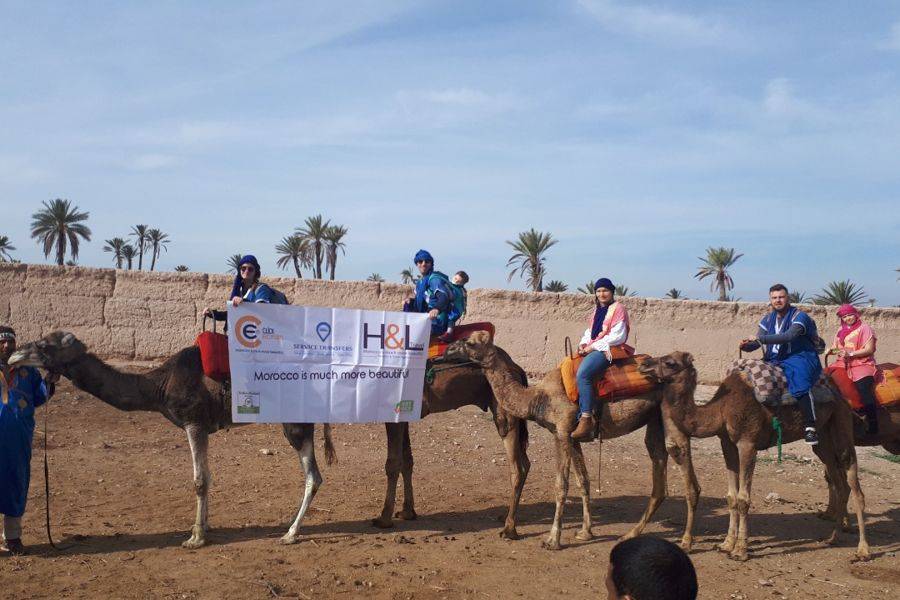 Kamelritt in der Palmeraie von Marrakesch