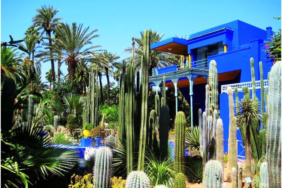 7 Tage Reise in die Reichsstädte von Casablanca
