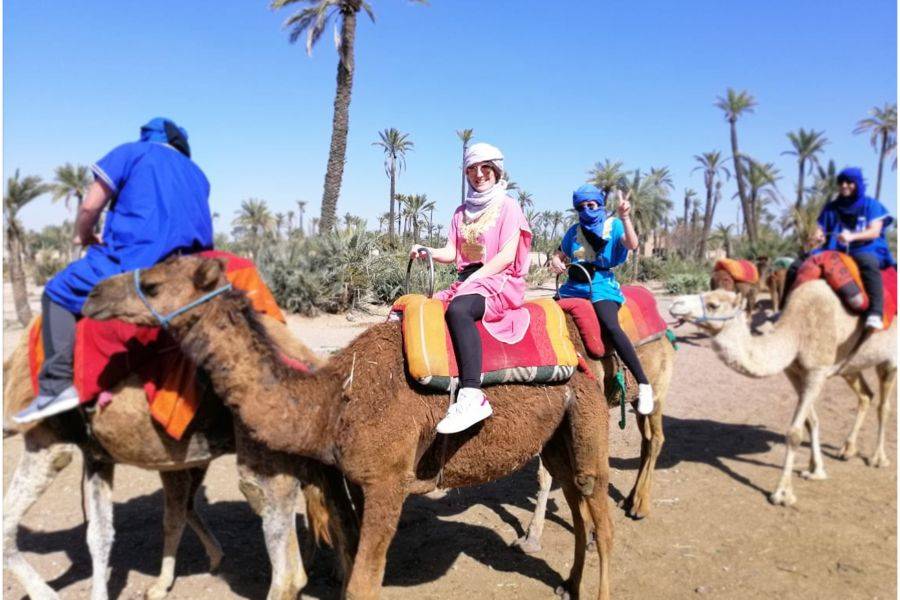 Kamelritt & Quad in Marrakesch Palmeraie