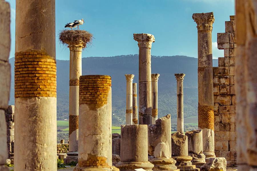 7 Tage Reise in die Reichsstädte von Casablanca