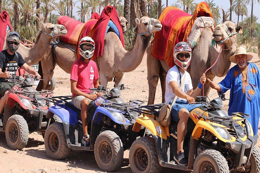 Kamelritt & Quad in Marrakesch Palmeraie