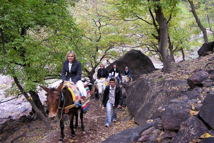 Hoher Atlas-Berg Imlil mit Kamelreiten und Diner in der Agafay-Wüste