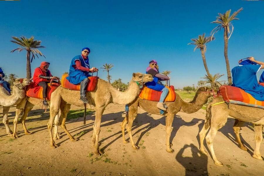 Kamelritt & Quad Bike & Spa und Hammam Behandlung
