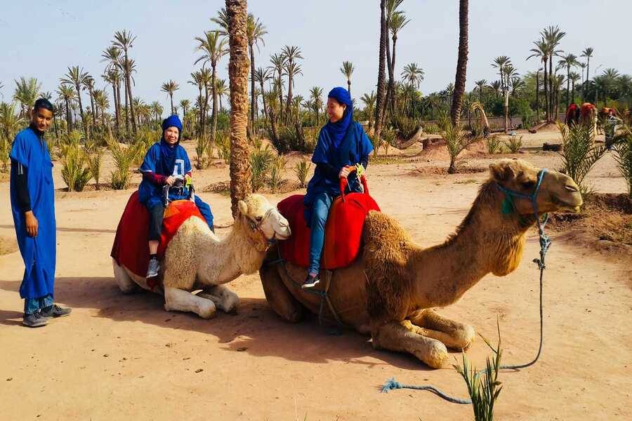 Kamelritt & Quad Bike & Spa und Hammam Behandlung