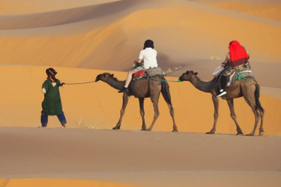 Grand Tour nach Marokko von Marrakesch nach Tanger für 7 Tage