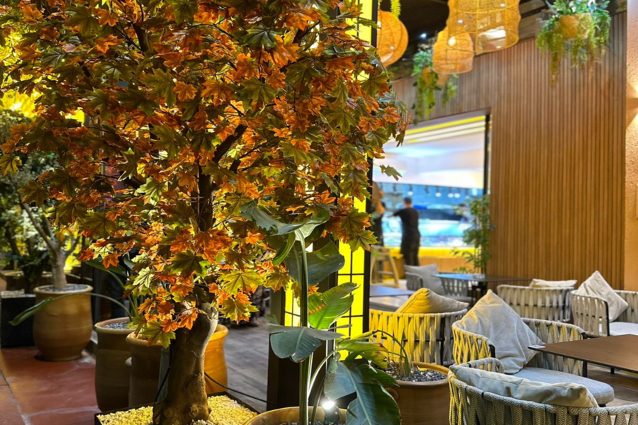 Dinerbelevenis, Marokkaans restaurant Chouf L'Or met pick-up