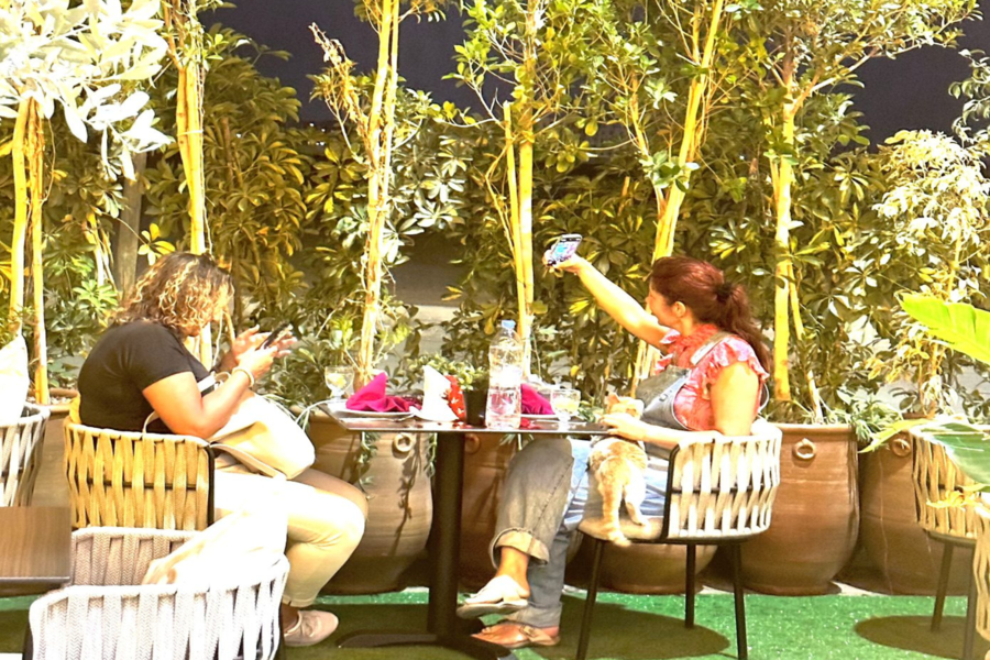 Dinerbelevenis, Marokkaans restaurant Chouf L'Or met pick-up