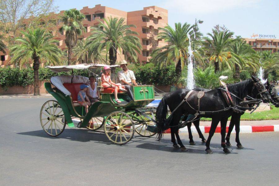 2 Tage Tour in Marrakesch mit Halbpension und Spa ab Casablanca  