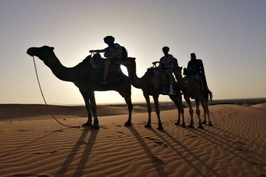Fez 4 Tage Wüstentour nach Marrakesch