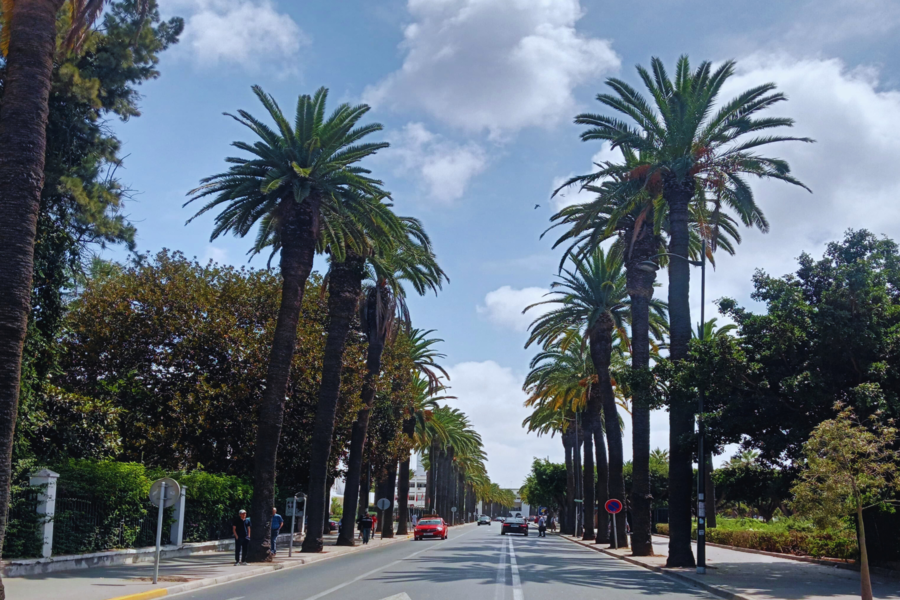 Tagesausflug nach Casablanca von Marrakesch