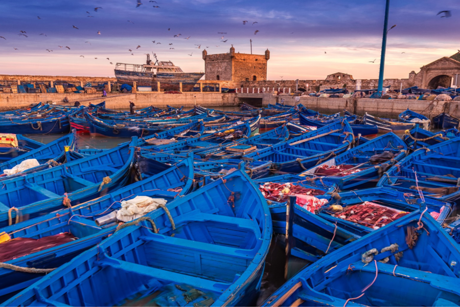 Eendaagse excursie naar Essaouira 